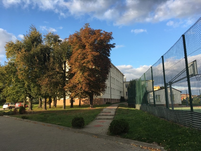 Liceum Ogólnokształcące w Iłży jest miejscem, gdzie warto zdobywać wiedzę, to jedno z najlepszych liceów w regionie