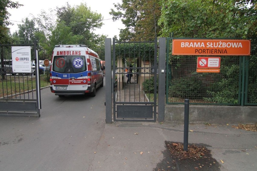 Wypadek we wrocławskim zoo