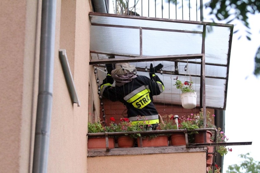 Szerszenie na poddaszu domu na Sępolnie. Interweniowała straż pożarna (ZDJĘCIA)