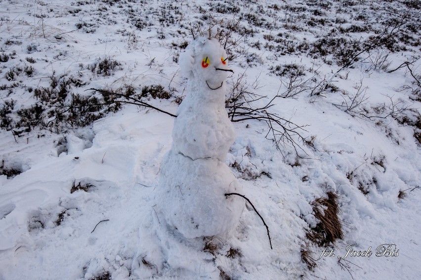 Piękna zima w Bieszczadach. Zobaczcie zdjęcia internauty...