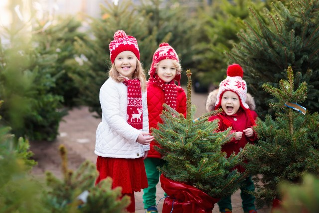 Wybieranie świątecznej choinki wspólnie z dziećmi sprawi najmłodszym mnóstwo frajdy.