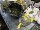 13 tysięcy porcji marihuany w rękach policji