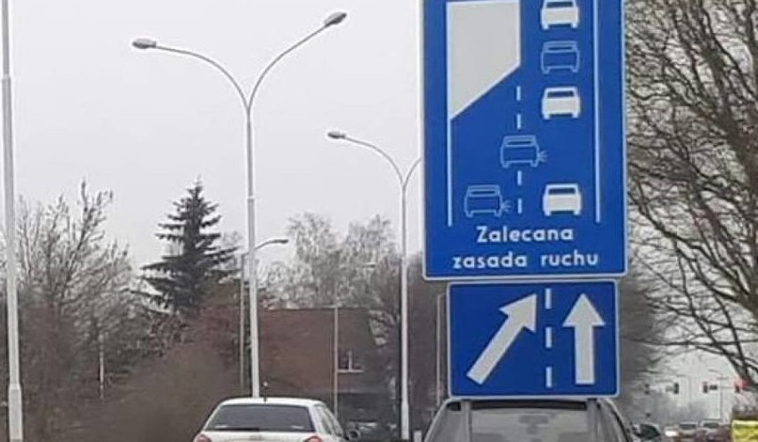 Znaki sugerujące jazdę "na suwak" w Katowicach