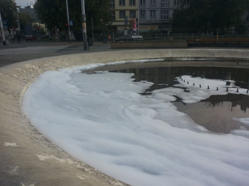 Wrocław: Spienili wodę w fontannie przy pl. Orląt Lwowskich [FOTO]