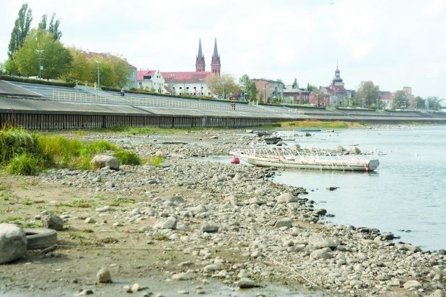 Tak wygląda Wisła we Włocławku. Nic dziwnego, że statek z uczestnikami konferencji utknął wczoraj na mieliźnie