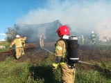 Pożar domu w miejscowości Pomorze. Budynek spłonął doszczętnie [ZDJĘCIA]