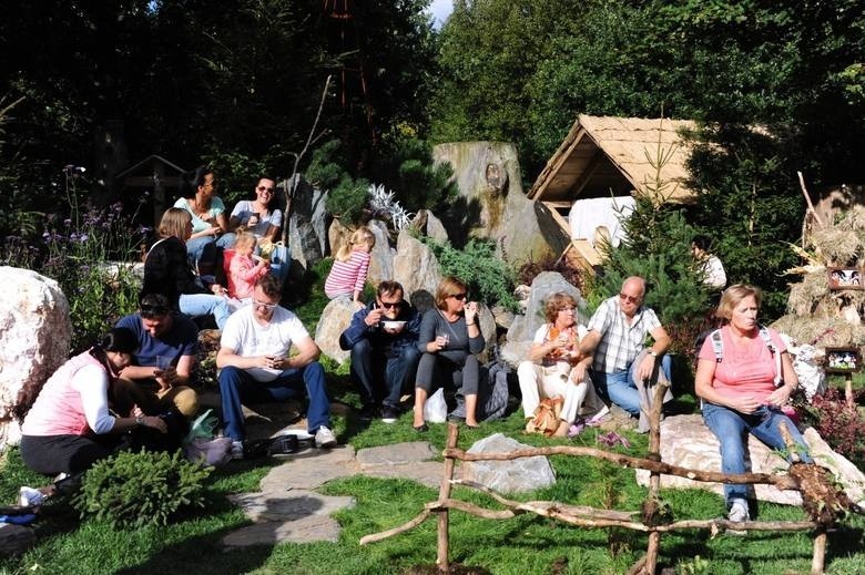 Dary Ziemi w Kolibkach. Wielkie święto zdrowych smaków