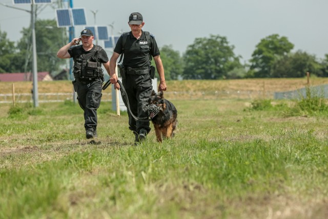 Funkcjonariusze podczas szkolenia z psami policyjnymi w Brzegach
