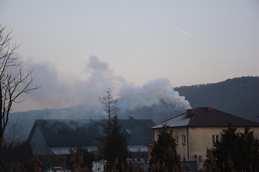 Do walki ze smogiem włącza się powiat krakowski....