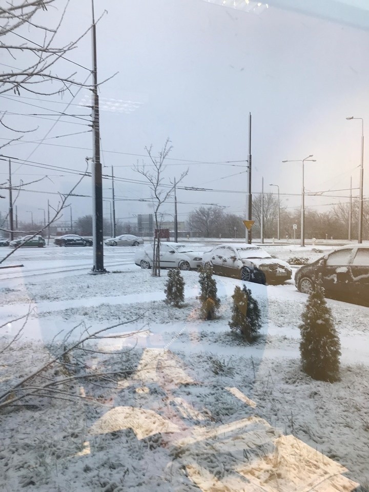 Śnieg w Lublinie. Rzadki widok tej zimy. Na drogach trudne warunki, komunikacja miejska kursuje z opóźnieniami