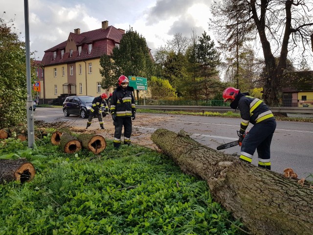 Strażacy mają pełne ręce roboty, od bardzo wczesnych godzin rannych, strażacy wyjeżdżali do powalonych drzew na drogi oraz linie energetyczne. Mnóstwo interwencji na terenie całego powiatu białogardzkiego. W niedzielę około godziny 14 na bardzo ruchliwej ul. Kołobrzeskiej, na jezdnię runęło ogromne drzewo. Na szczęście w chwili zdarzenia nikt tamtędy nie przejeżdżał.