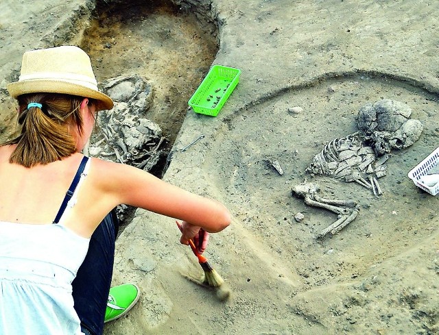 Na polu w Kruszy Zamkowej archeolodzy odkryli pochówki pochodzące sprzed 6 tys. lat.