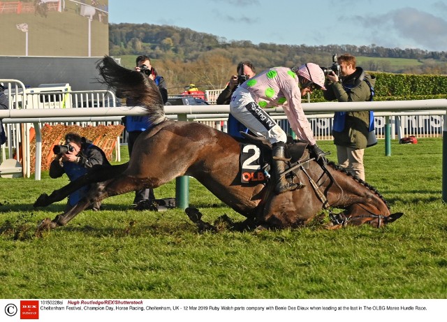 Wyścigi konne na Cheltenham Festival