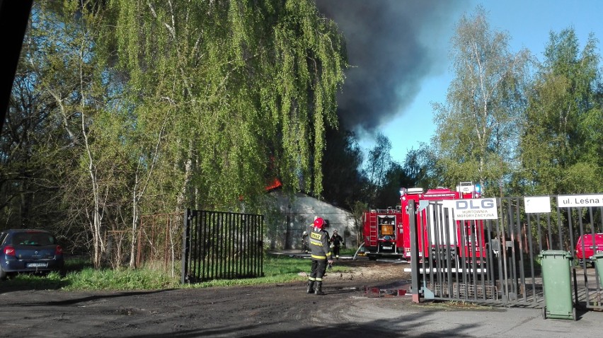 Pożar przy ul. Leśnej w Szczecinie. Palił się magazyn reklamówek w Załomiu [WIDEO, ZDJĘCIA]