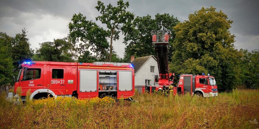 Oderwana gałąź uszkodziła dach domu w Stalach. Interweniowali strażacy (ZDJĘCIA)