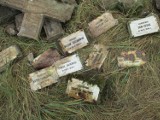Nad Odrą znaleziono nagrobki polskich żołnierzy [zdjęcia]