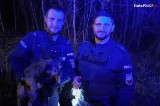 Policjanci z Katowic pomogli zbłąkanemu psu. Zwierzę trafiło do weterynarza, niestety nie jest znany jego właściciel