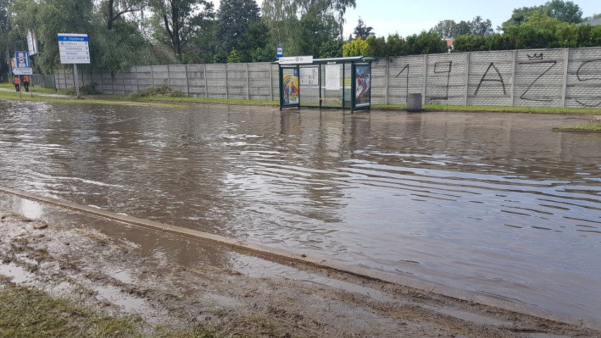 Burza w Łodzi. Nawałnica nad Łodzią. Powalone drzewa, gałęzie na drogach, zalane ulice [ZDJĘCIA]