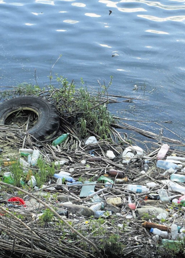 Zygmunt Paruch: Państwo powinno wspierać gminy finansowo w sprzątaniu cudzych śmieci. Na zdjęciu odpady na nabrzeżu w Lipiu