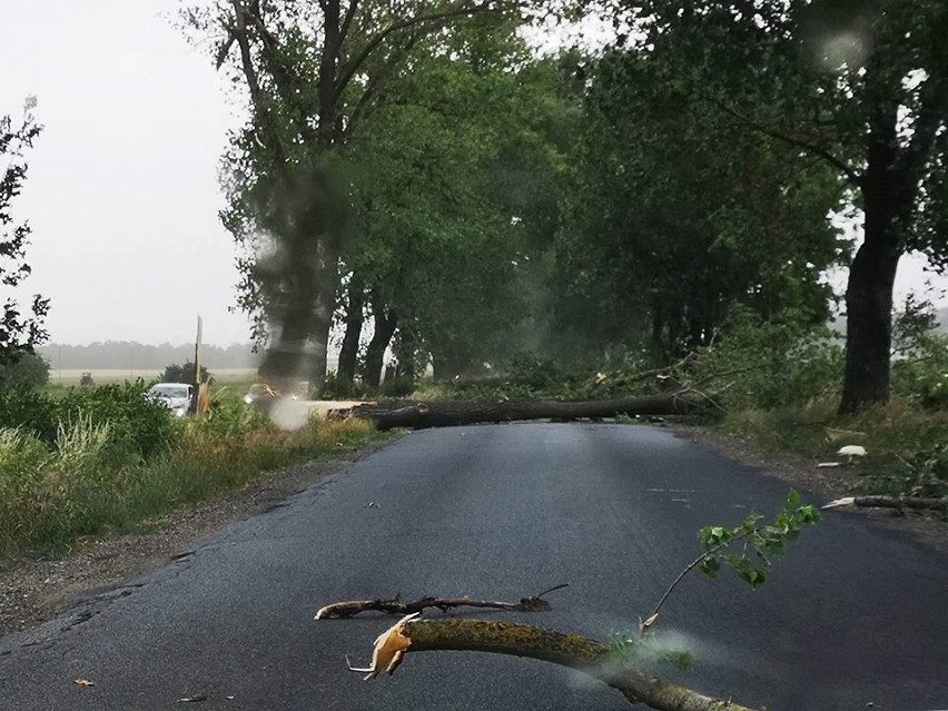 Choć wiatr wiał przez kilkanaście minut to zdążył wyrządzić...