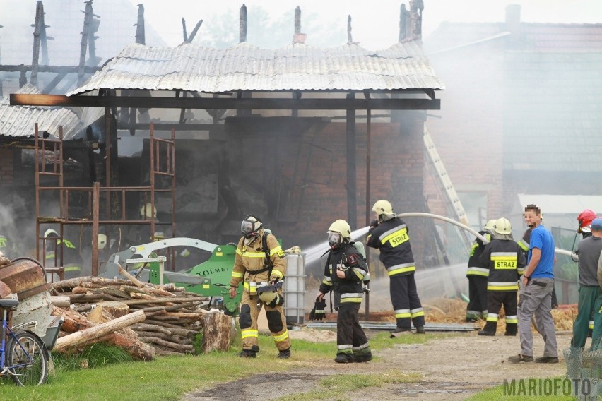 Pożar stodoły i chlewni w Kotorzu Małym. Spłonął kombajn, ranny został właściciel gospodarstwa 