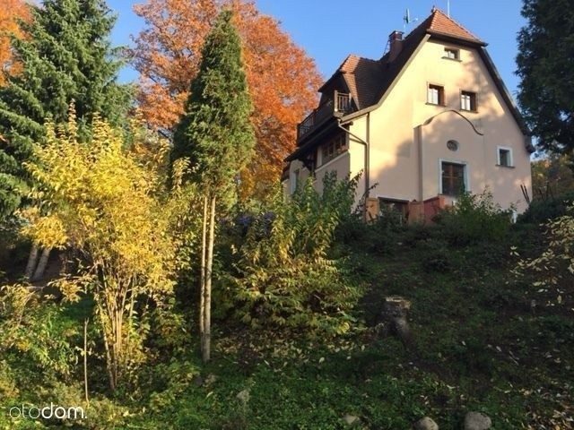 Piękne lasy i jeziora, czyste powietrze i urokliwe zakamarki zachęcają coraz więcej osób do osiedlania się właśnie tutaj. A ceny domów i działek sukcesywnie idą w górę. Lubniewice są coraz popularniejszym miasteczkiem, do którego turyści przyjeżdżają nie tylko w czasie sezonu. Nowe domy powstają jak grzyby pod deszczu, a o zdobycie działki coraz trudniej. Zobacz, jakie oferty zamieszczono na portalu otodom.pl.