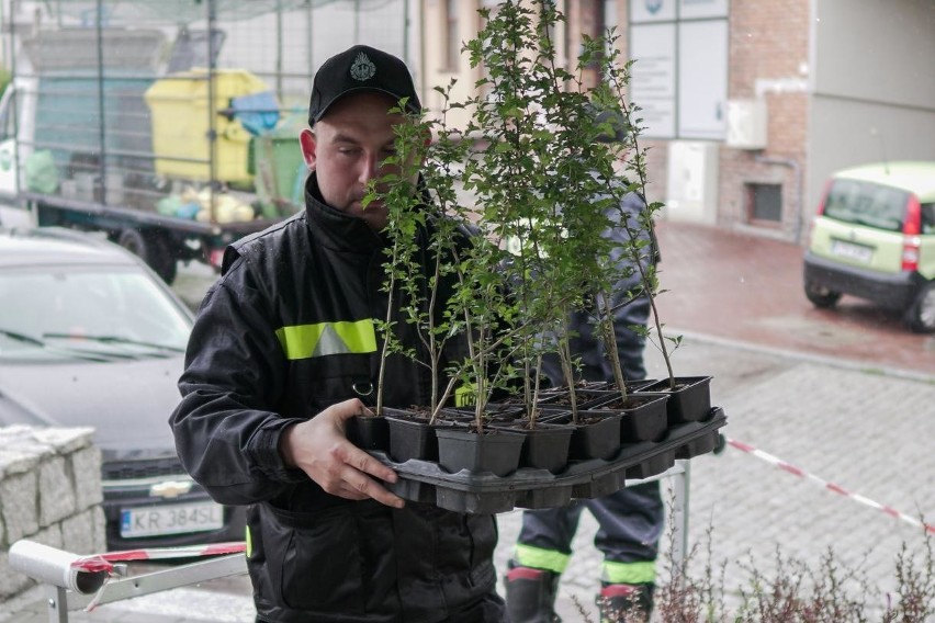 Proszowice. Piknik ekologiczny na miejskim Rynku