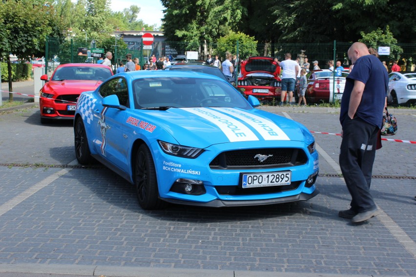 Mustang Race w Zabrzu: Mustangi zaparkowały przy Kopalni Guido ZDJĘCIA