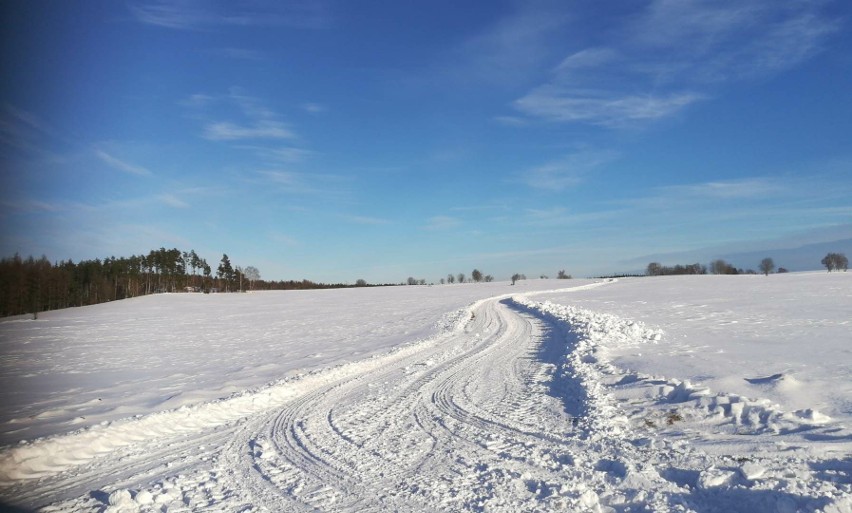 Kaszuby zasypane śniegiem, okolice Kościerzyny