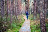 Ścieżki Poleskiego Parku Narodowego zachwycają jesienią. Zobacz zdjęcia znad jeziora Moszne