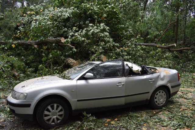 Orkan Ksawery wyrządził spore szkody w powiecie krośnieńskim.