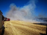 Gostyń: Największy pożar w Wielkopolsce od lat. Akcja strażaków we wsi Dusina trwała 17 godzin [ZDJĘCIA, WIDEO]