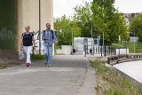 Przejście dla pieszych i ul. Żupy pod Mostem Uniwersyteckim w Bydgoszczy znowu otwarte