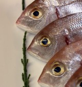 Raport z koszalińskiego targowiska, czyli czas na ryby