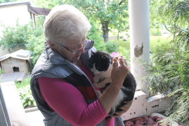 Pani Irena trzyma na rękach jedną z otrutych kotek. Kilka zwierząt kobieta musiała uśpić