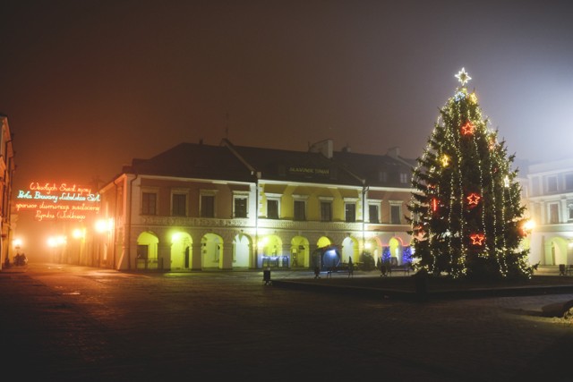 Choinka na Rynku w Zamościu