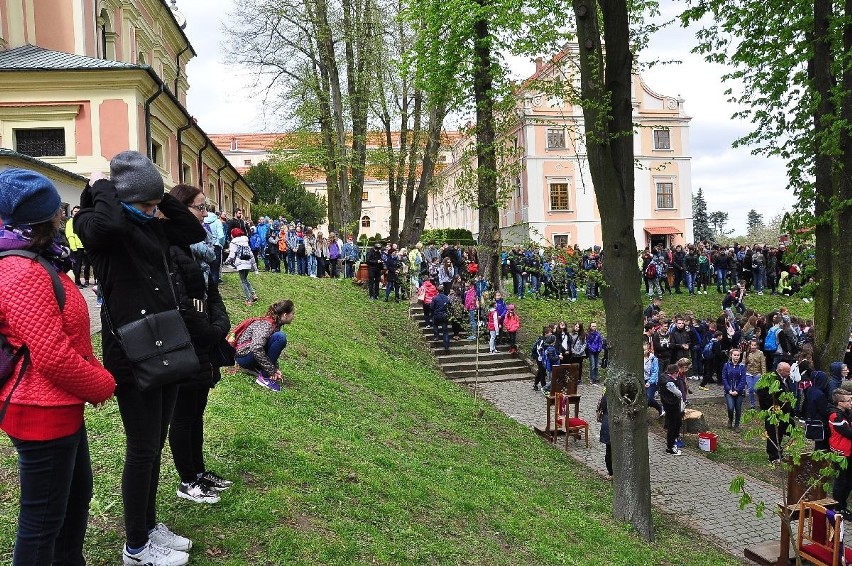 Seminaryjna furta w Sandomierzu otwarta. Przyszły tysiące zwiedzających 