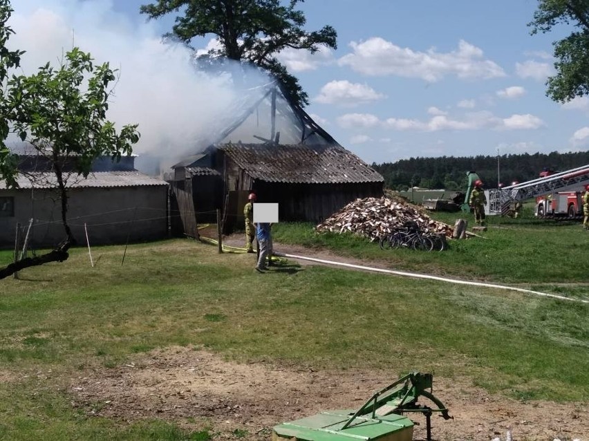Gmina Gniezno. Pożar budynków gospodarczych w Dębówcu