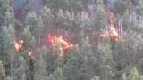 Portugalia. Tegoroczne pożary spowodowały straty idące w dziesiątki milionów euro