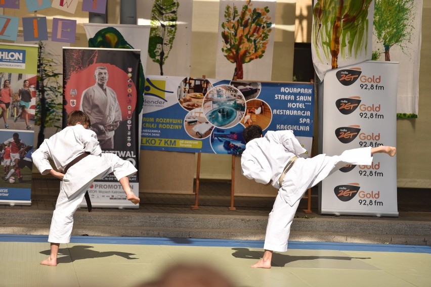 XX Jubileuszowe Pokazy Sztuk i Sportów Walki: judo, karate,...