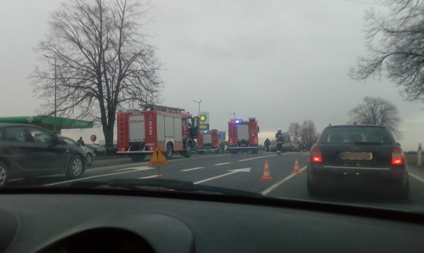 Policjanci i strażacy pracują na drodze krajowej nr 94 w...