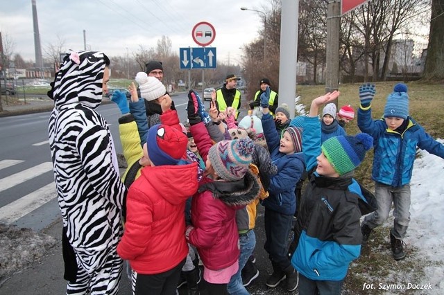 W Siemianowicach Śląskich mieszkańcy mogli przejść przez pasy wraz z policją, strażą miejską, bądź maskotką zebry