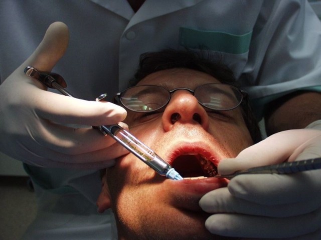 Collegium Medicum UMK jest jedyną medyczną szkołą wyższą w kraju, w której wciąż nie ma kierunku dentystycznego