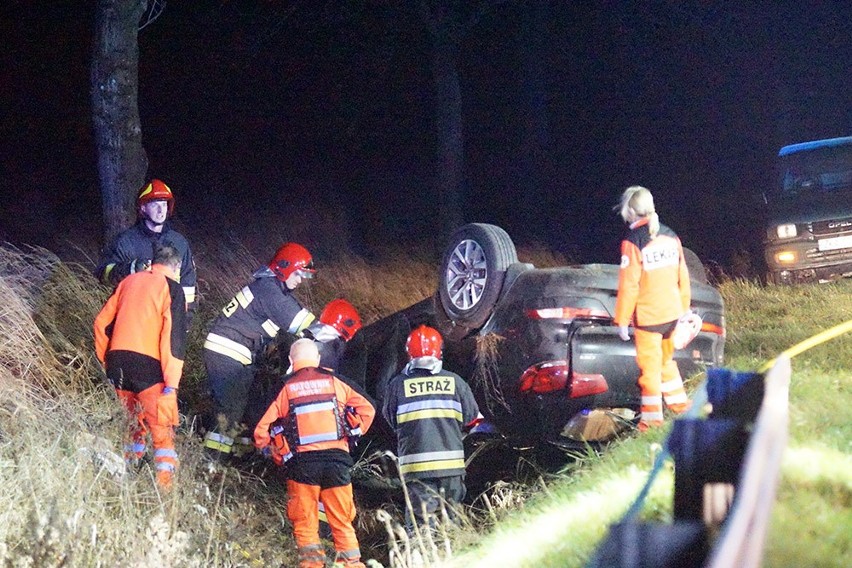 Wypadek pod Kamieniem. Samochód uderzył w dzika [zdjęcia]