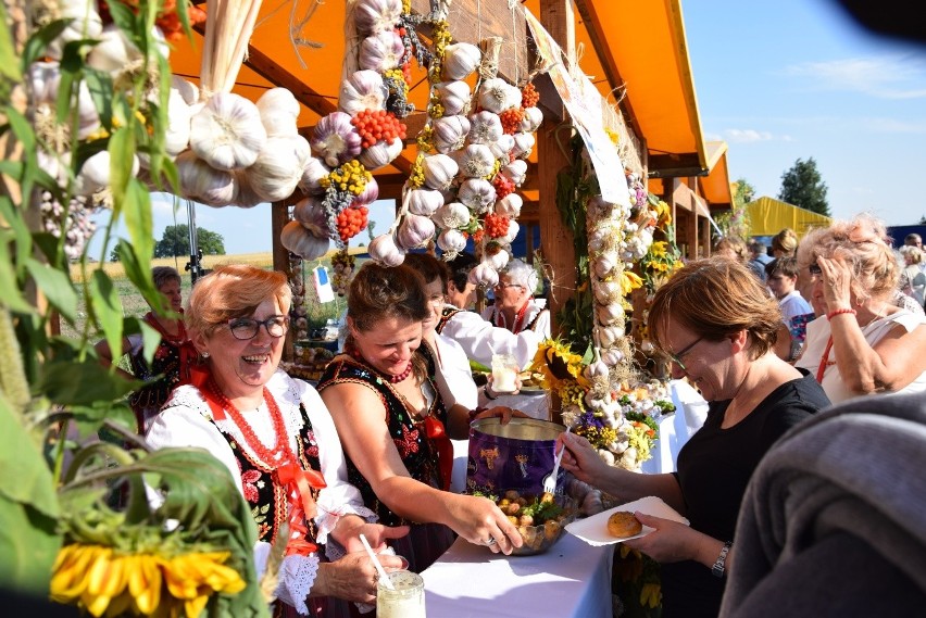 Małopolskie Święto Czosnku. Producenci cieszą się ze zbiorów, a gospodynie z czosnku robią pyszne dania i bukiety [ZDJĘCIA]