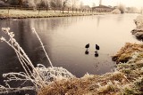 Kiedy spadnie śnieg? IMGW ostrzega! Zima zaatakuje - mróz, deszcz ze śniegiem a nawet śnieg [prognoza pogody zima 2018/2019]