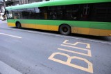 Poznań: Kolizja autobusu MPK z samochodem