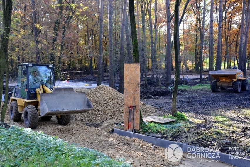 Park Podlesie jest urokliwym miejscem. Po przebudowie będzie...