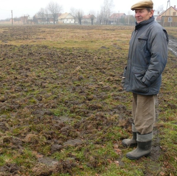 Karol Wdowiak przy łące zrytej przez dziki.