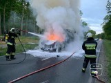 Groźny wypadek niedaleko Leszna. Bus zderzył się z jeleniem. Samochód stanął w ogniu